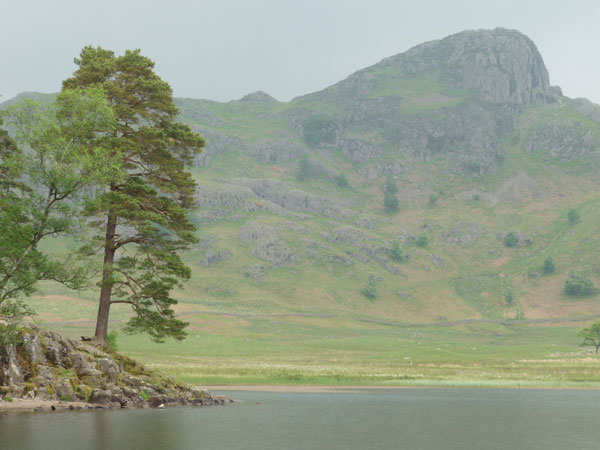Blea Tarn in the Heart of the Lake Disrict